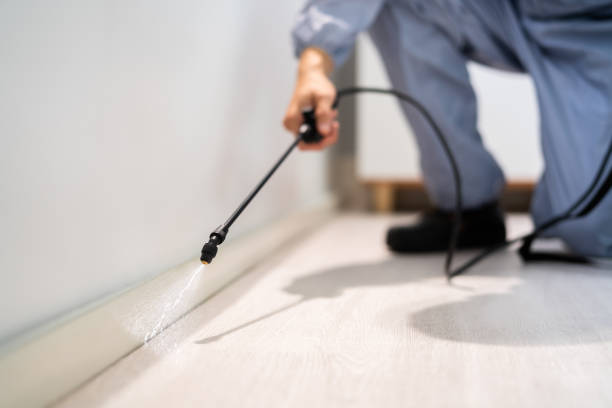 Professional exterminator conducting IPM assessment in Nellieburg