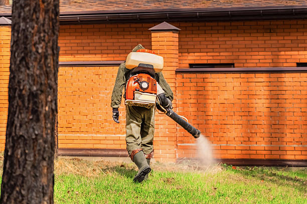 Top rated local Mosquito Control specialists in Nellieburg, MS